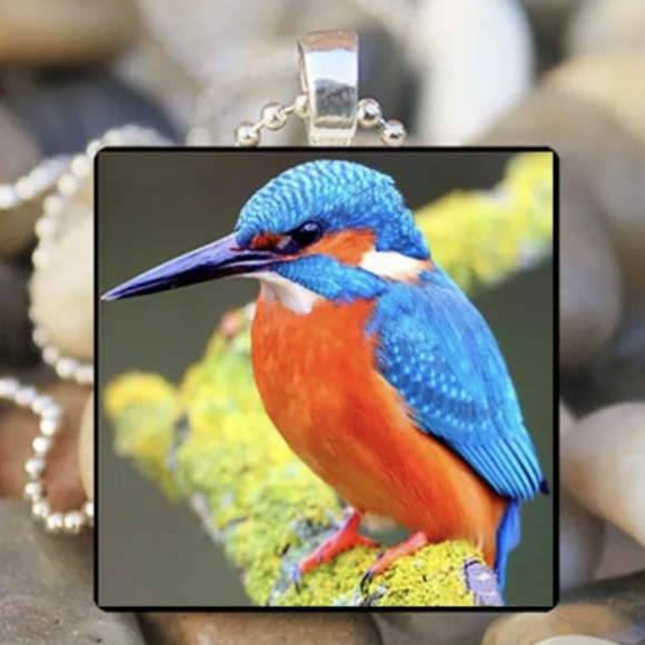 Jewelry - Necklace- NEW-  Bird Necklace with Chain